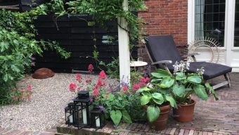 Schuur op maat Haarlem