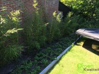 Tuinrenovatie Haarlem