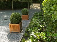 Tuin renovatie en tuinaanleg Haarlem