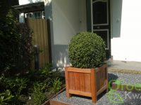 Tuin renovatie en tuinaanleg Haarlem