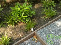 Tuin renovatie en tuinaanleg Haarlem