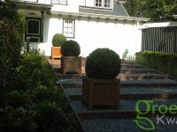 Tuin renovatie en tuinaanleg Haarlem door Groen Kwaliteit