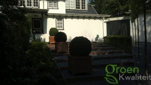 Tuin renovatie en tuinaanleg Haarlem