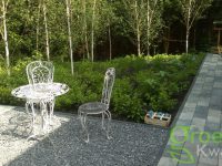 Tuin renovatie en tuinaanleg Haarlem