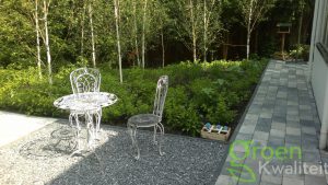 Tuin renovatie en tuinaanleg Haarlem