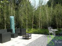 tuin renovatie Haarlem