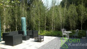 tuin renovatie Haarlem