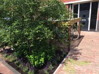 Tuinaanleg Heemstede