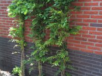 Tuinaanleg fietsenstalling Heemstede