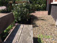 Op maat gebouwd tuinhuis met bank in Haarlem