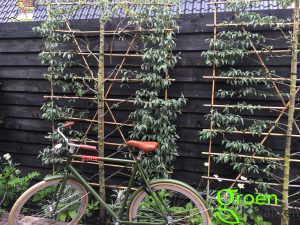 Villatuin aanleg Haarlem