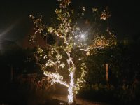 Tuinverlichting Haarlem
