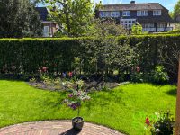 Tuinaanleg met irrigatie Haarlem